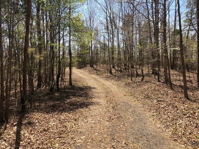 98 County Road 437, Oxford, MS 38655 - photo 3