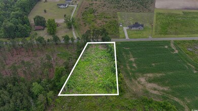 Aerial view of property and surrounding area with rural landscape and property boundaries highlighted