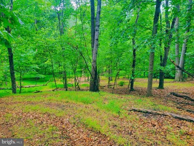 0 Dark Hollow Ct, Gerrardstown, WV 25420 - photo 4