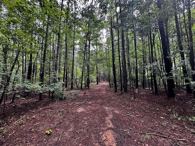 3550 Morgans Run Pkwy, Bessemer, AL 35022 - photo 5