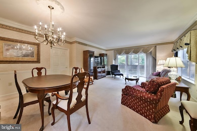 1 Stuart Dr unit 1, Norristown, PA 19401 - photo 7