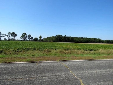 TBD Cowpen Swamp Rd, Fairmont, NC 28340 - photo 2