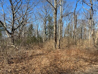 16 Sawyer St, Pine Point, ME 04074 - photo 3