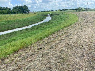 10351 Bushnell Rd, Needville, TX 77461 - photo 7