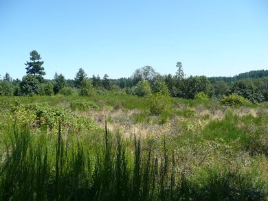 310 157th Ave SE, Kent, WA 98042 - photo 3