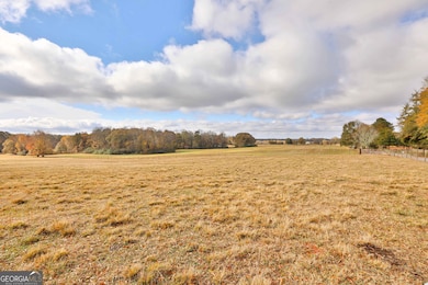 LOT 8 Mask Road - Hanner's Farm S, Brooks, GA 30205 - photo 3