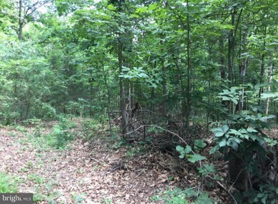 0 Blue Bell Ln unit VASH121500, Strasburg, VA 22657 - photo 5