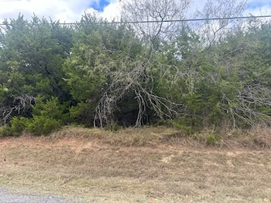 1533 White Bluff Dr, Whitney, TX 76692 - photo 3