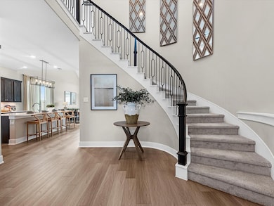 representative photo