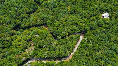 4.69 AC Rockwater Rd, Cherry Log, GA 30522 - photo 4