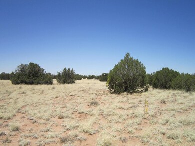 20150709 homesite and surrounding trees