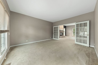 4020 Falcon Dr unit 1, Naperville, IL 60564 - photo 5