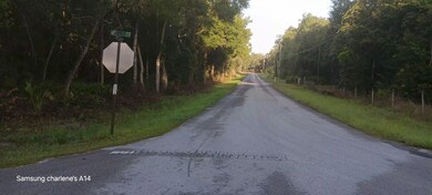 74 terr NW 153rd Ln, Andrews, FL 32626 - photo 3