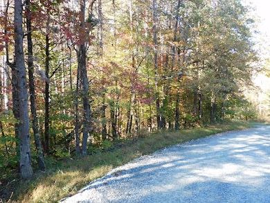 5.88 Grassland Dr, Sandy Level, VA 24161 - photo 7