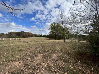 2749 Sims Rd, Shelbyville, TN 37160 - photo 7