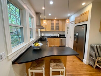 19 Goldsmith St unit 2, Jamaica Plain, MA 02130 - photo 7