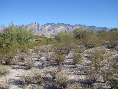 North View