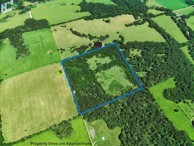 With Property Lines