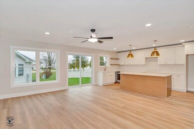 859 Pheasant Run, Bourbonnais, IL 60914 - photo 4