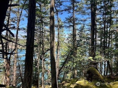 0 Lot 27 Peavine Way, Olga, WA 98279 - photo 3