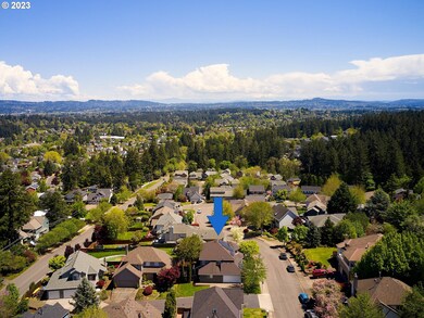 Drone View/UAV