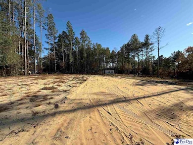 351 Jackson St, Hartsville, SC 29550 - photo 4