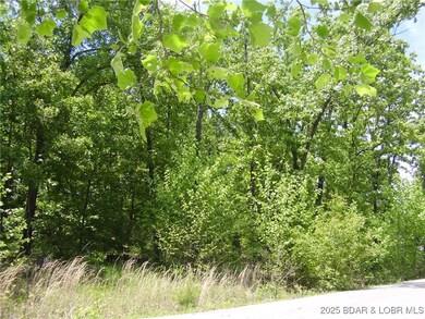 26 Silver Spur Ct, Camdenton, MO 65020 - photo 7