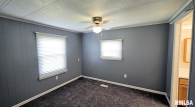 202 Evans St, Loami, IL 62661 - photo 4