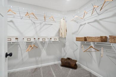 6560 Wolfberry Curve, Excelsior, MN 55331 - photo 7