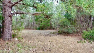 0 Pamlico Beach unit 100495750, Belhaven, NC 27810 - photo 5