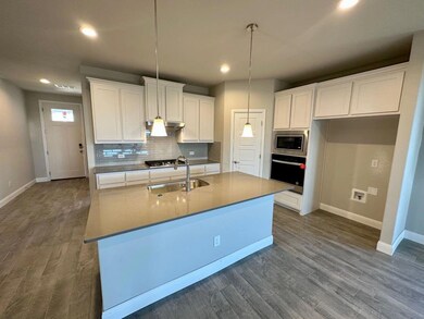 1525 Razorbill Road - Kitchen