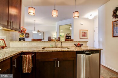 41900 Metamorphic Square unit 302, Aldie, VA 20105 - photo 7