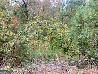 106 Maple Glen Ct, Centerville, GA 31028 - photo 7