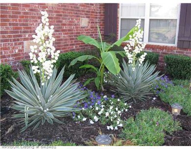 Yard/Garden.