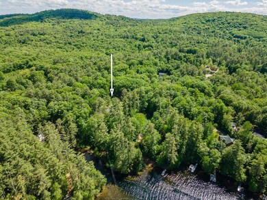 1313 Canal Rd unit Lot 1 (1313) Canal R, Sanbornville, NH 03872 - photo 5