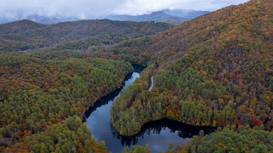 3549P Snowbird Rd, Robbinsville, NC 28771 - photo 2