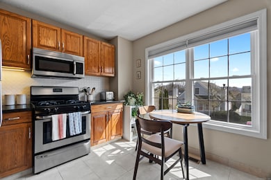 Brand new thermopane windows in the east-facing ki