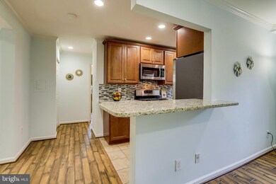 2305 Farrington Ave unit 102, Alexandria, VA 22303 - photo 7