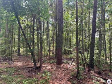 TBD CR 3 Fm 3129 -8 38, Queen City, TX 75572 - photo 2