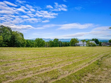 DJI_20240605113852_0326_D-SMALL