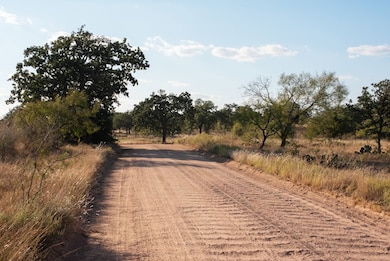 unlisted-address, Mason, TX 76842 - photo 6