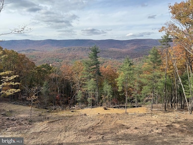 4101 and 4039 Supinlick Ridge Rd, Mount Jackson, VA 22842 - photo 5