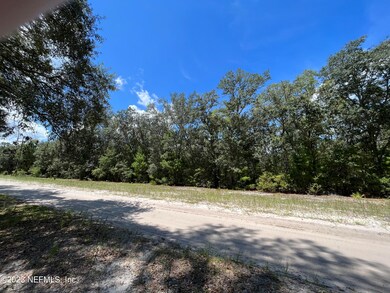 127 Indian Trail, Florahome, FL 32140 - photo 4