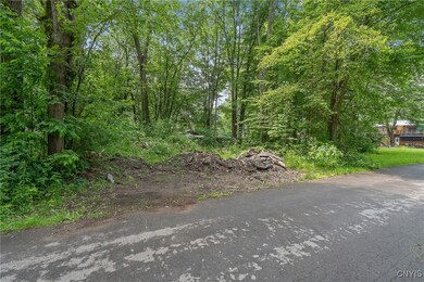 0 21st Ave unit S1613250, Vienna, NY 13157 - photo 2