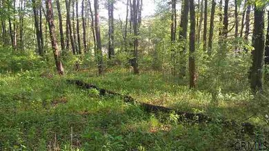 0 Albany Turnpike unit 201319675, Chatham, NY 12136 - photo 4