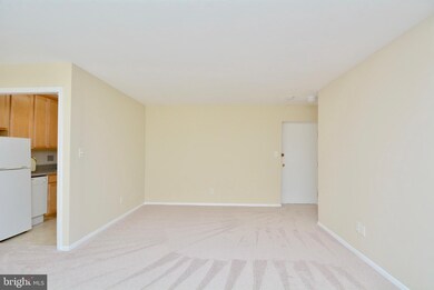 6147 Leesburg Pike unit 205, Falls Church, VA 22041 - photo 5