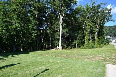 Side Yard