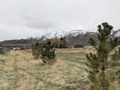 PXL_20210325_203805043