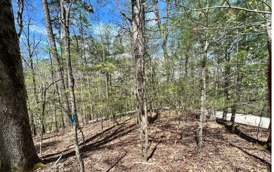 Additional View