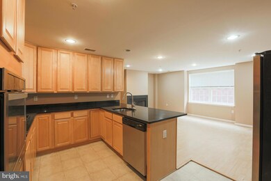 4800 Coyle Rd unit 110, Owings Mills, MD 21117 - photo 6